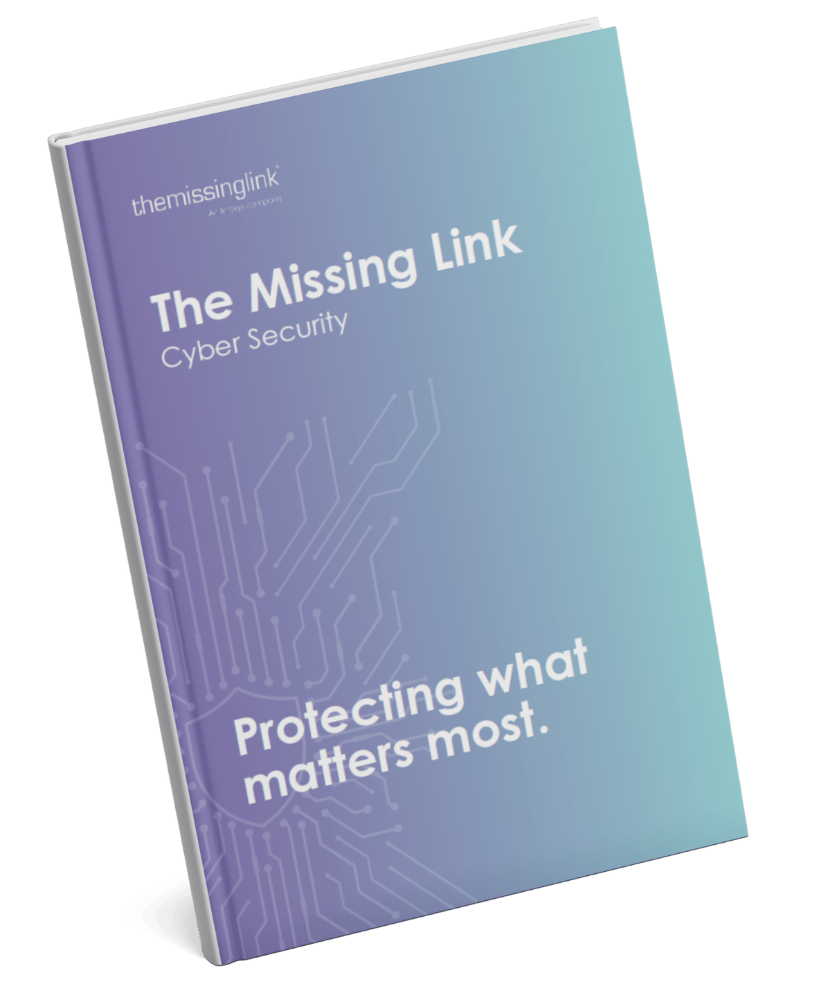 Cyber Security Services | The Missing Link