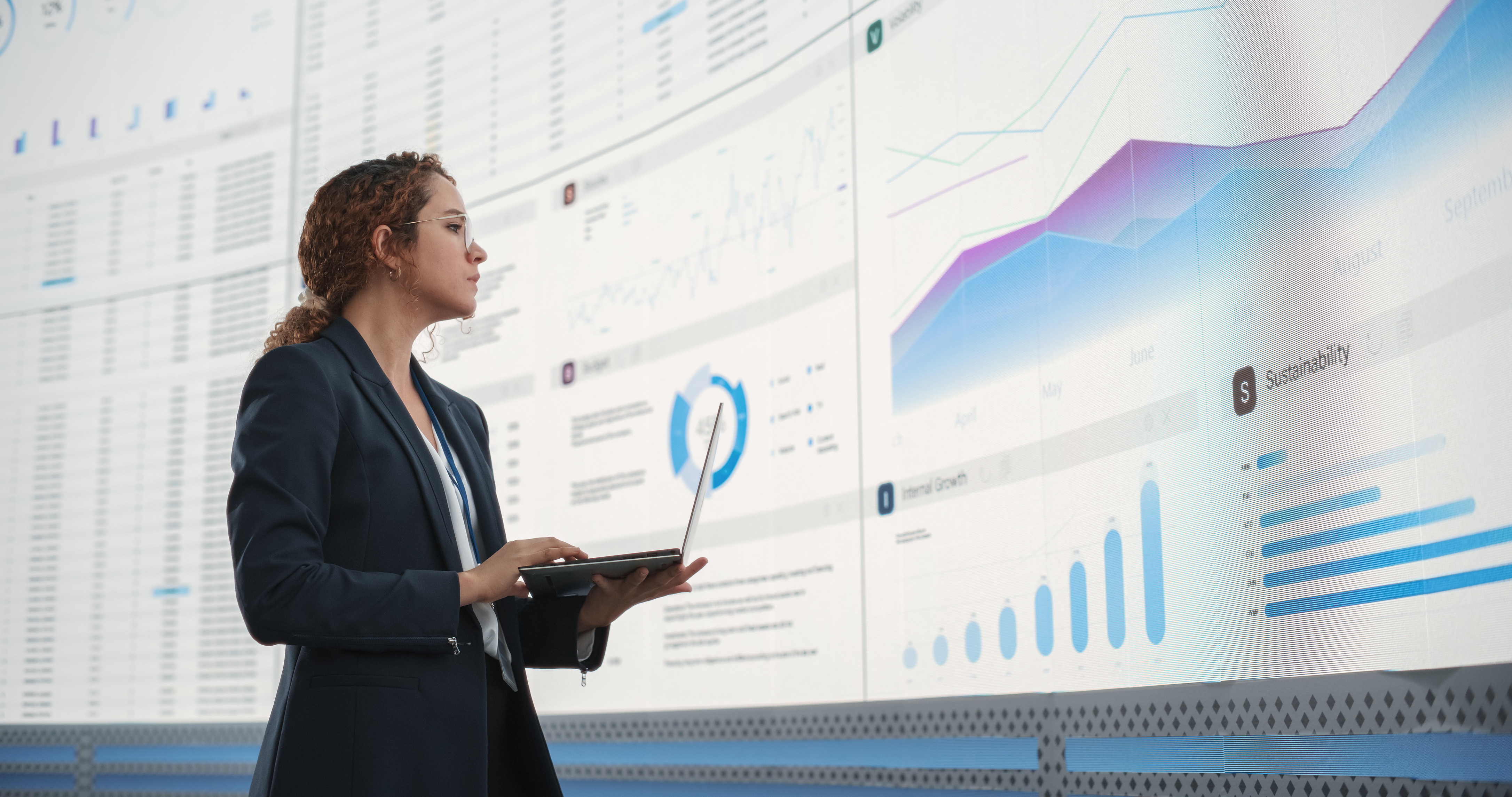 IT Planning and Budgets