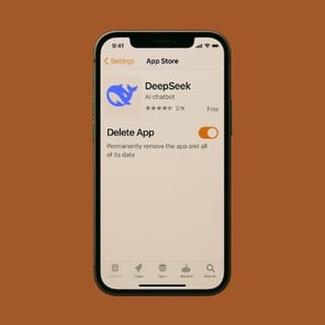 Deepseek ban