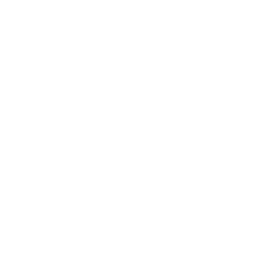 dell-white