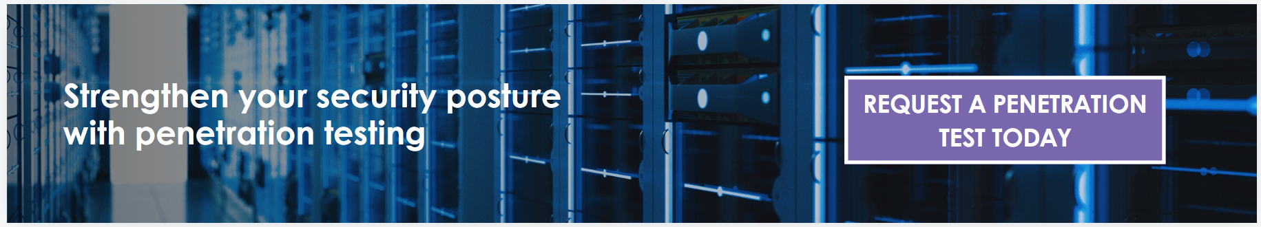 request a penetration test today