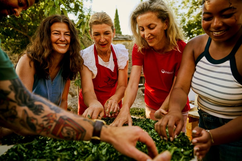 soparnik_horizontal2 - Copy